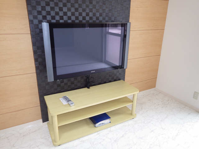 プラズマＴＶ