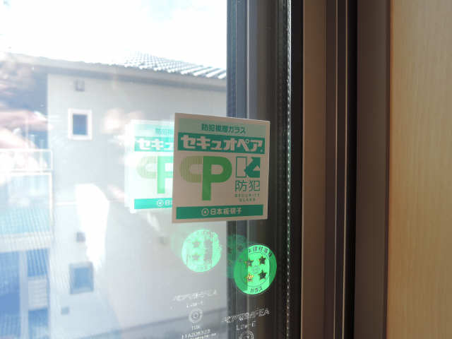ﾍﾟｱｶﾞﾗｽ