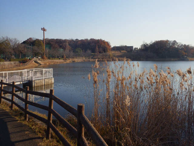 公園