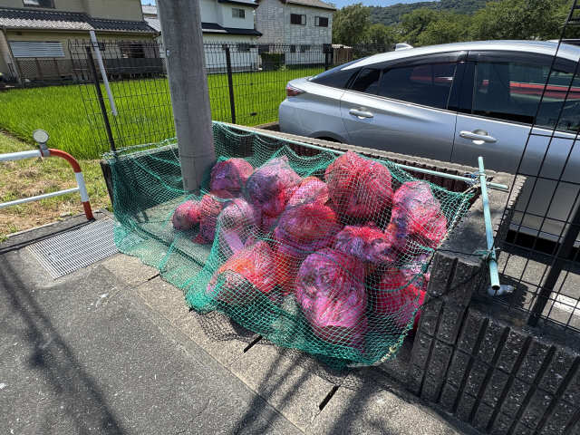 ゴミ置き場