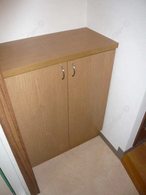 ｼｭ  ｰｽﾞﾎﾞｯｸｽ