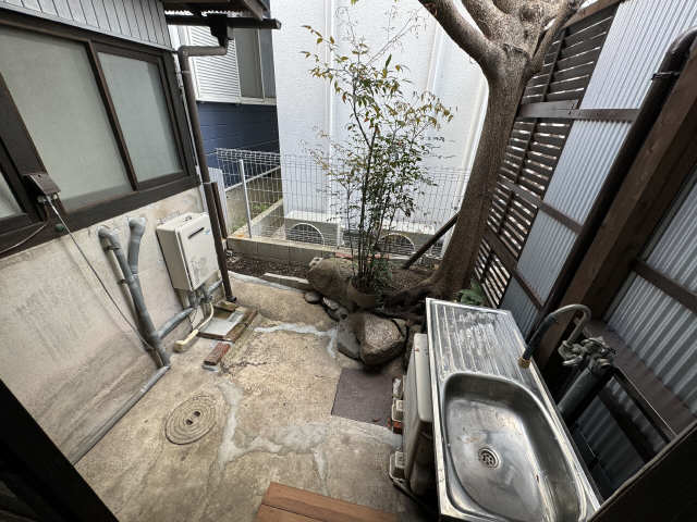 庭