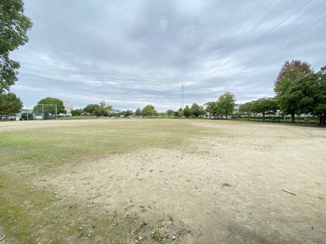 公園