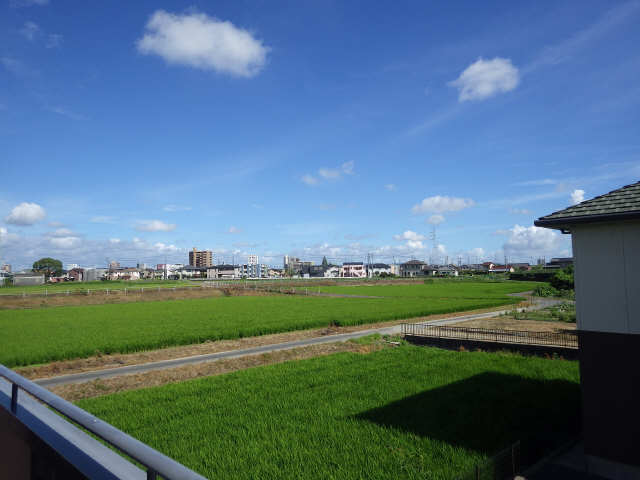 眺望