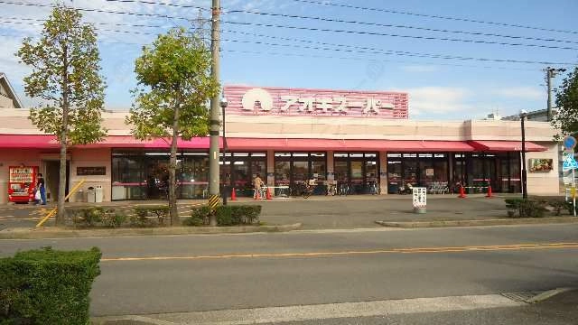 アオキスーパー