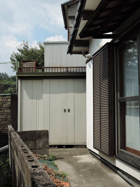 庭