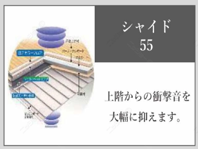 シャイド５５