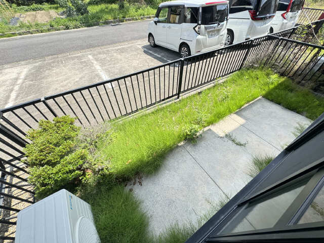 庭