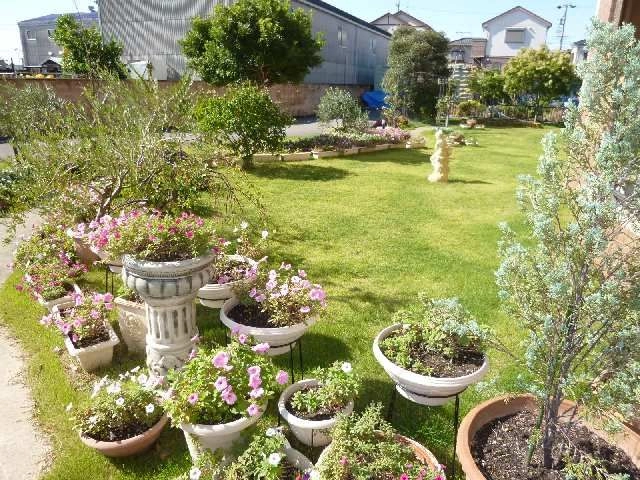 建物南庭スペース