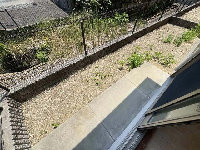 庭