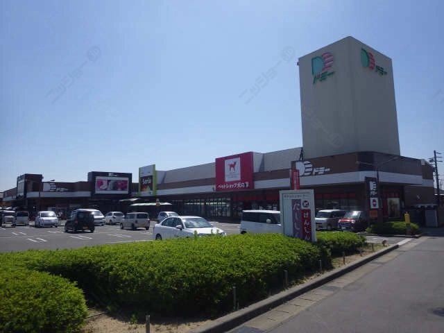 ドミー　徒歩９分