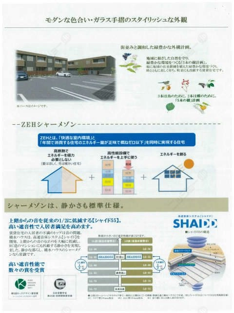 シャイド５５