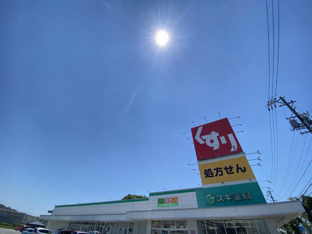 スギ薬局