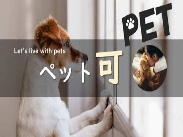 ペット可