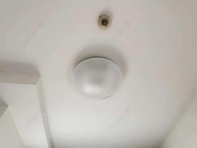 照明