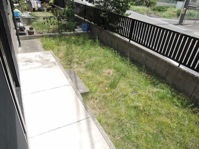 庭