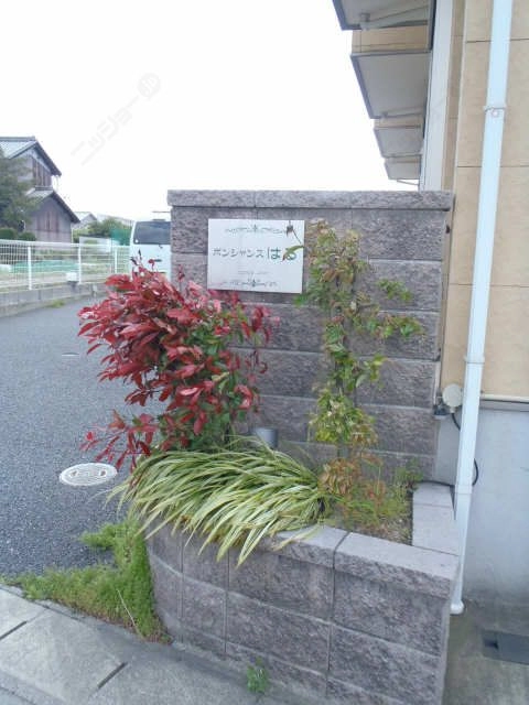 植栽