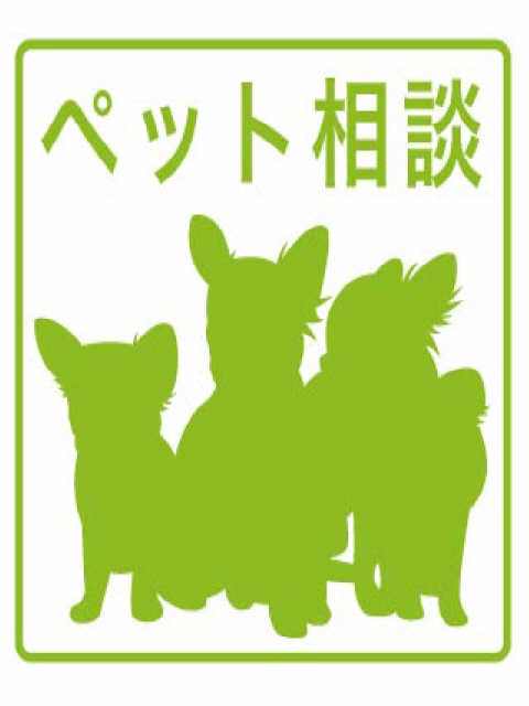 ペット相談