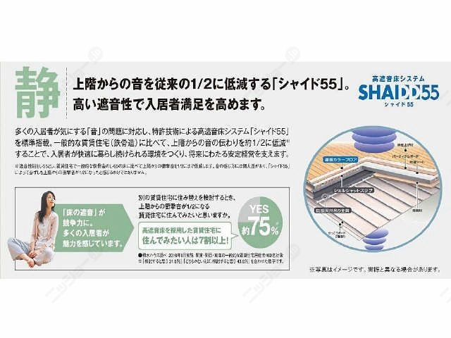 『シャイド５５』について