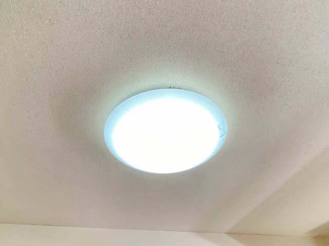 照明
