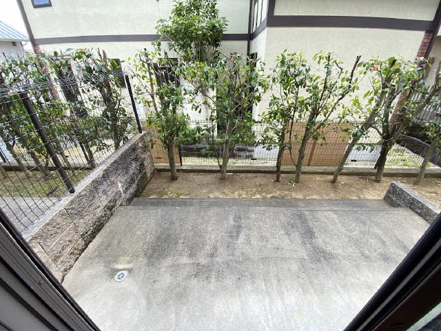 庭