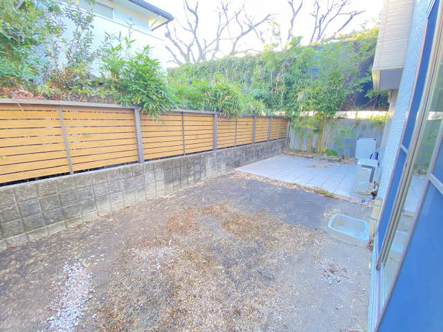 庭