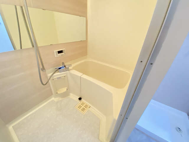パレス・コンフォート 4階 浴室