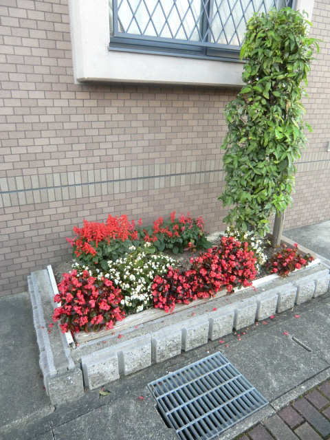 花壇