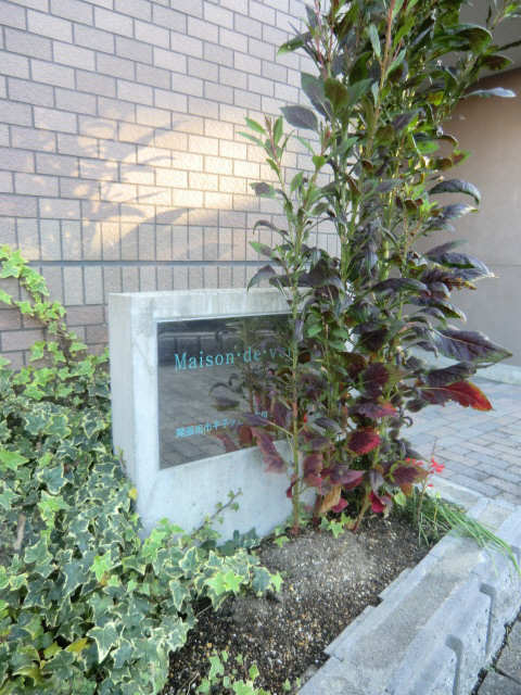 花壇