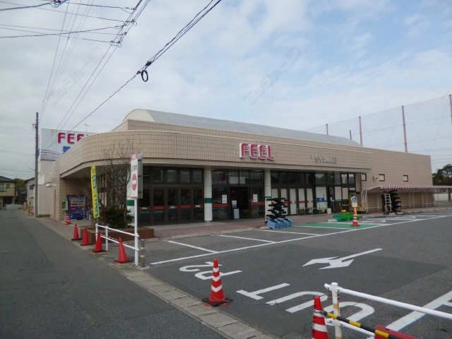 ｽｰﾊﾟｰＦＥＥＬ歩9分