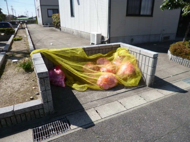 ゴミ置き場
