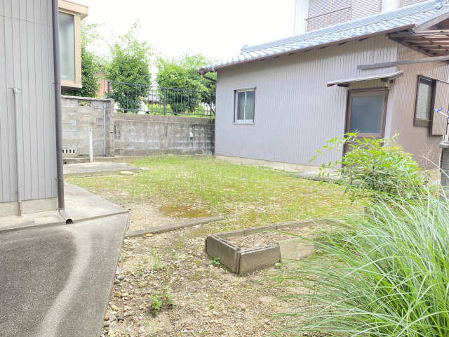 庭