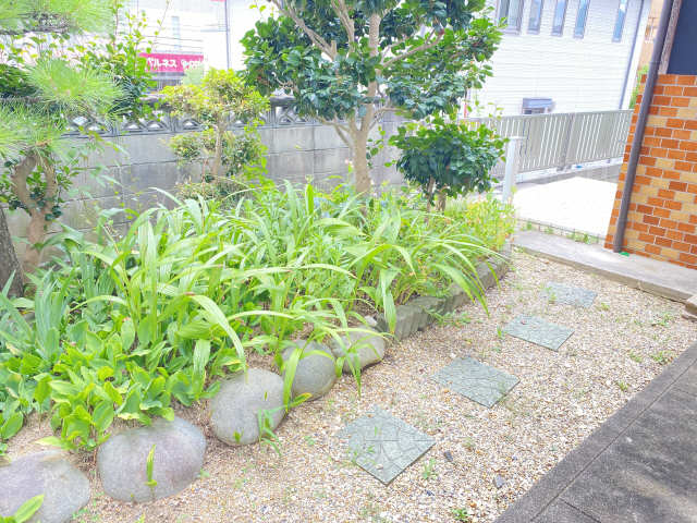 庭