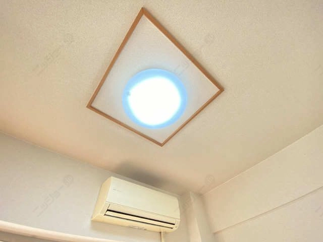 照明