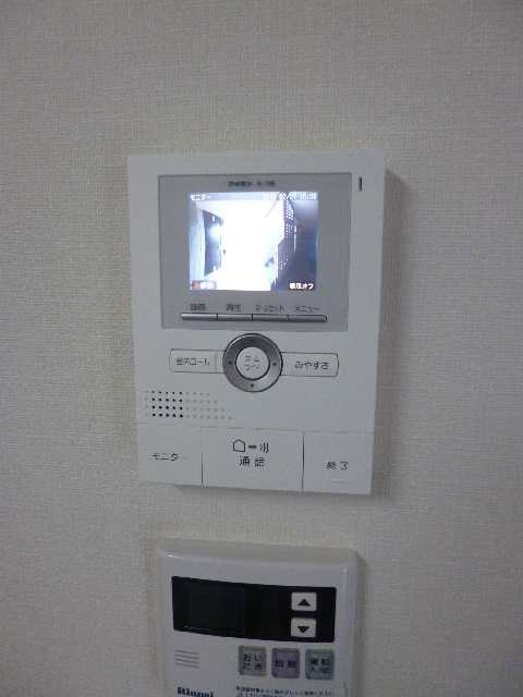 ｶﾗｰﾓﾆﾀｰﾎﾝ