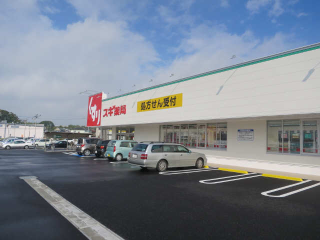 スギ薬局歩３分