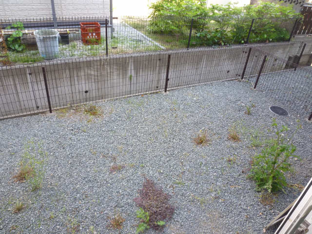 庭