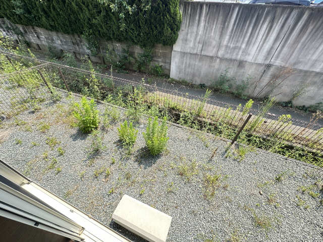 庭
