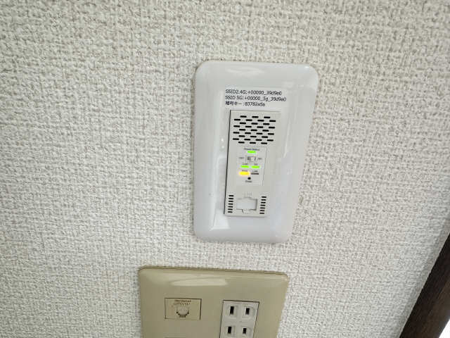 ネット無料