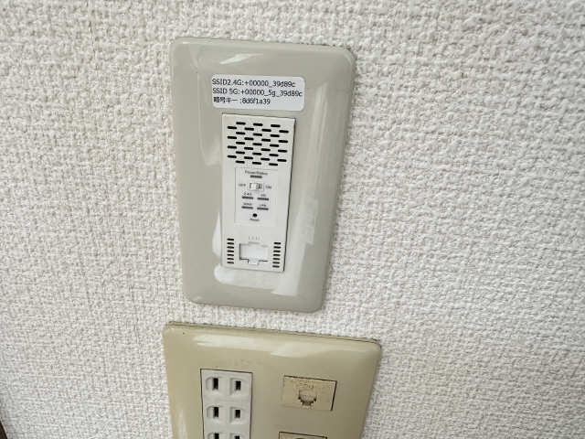 ネット無料