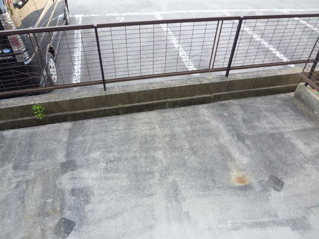 庭