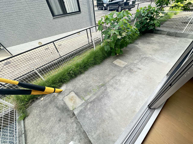庭