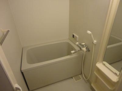 ルミナスパレス 3階 浴室