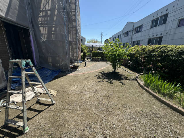 庭