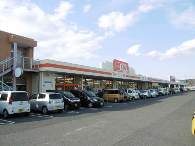 イオンビッグ白子店