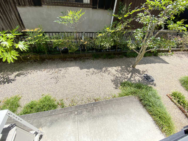 庭