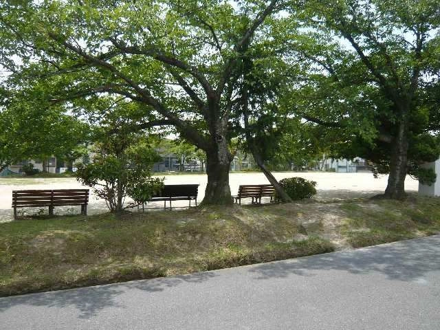 物件前公園
