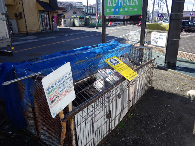ゴミ置き場
