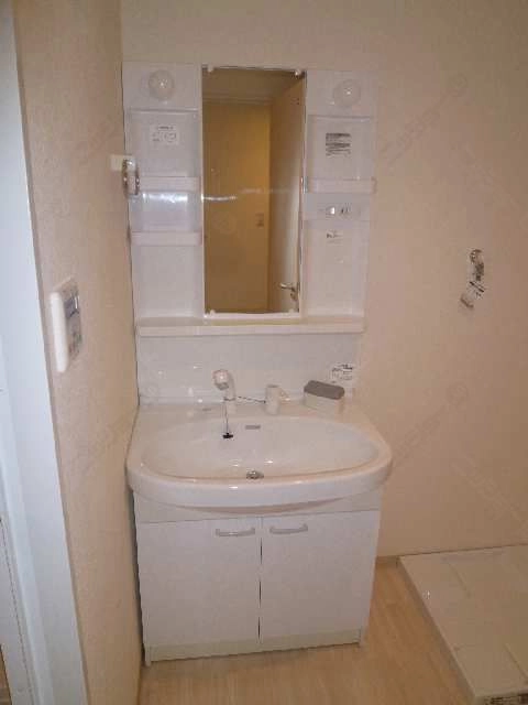 ｼｬﾝﾌﾟｰﾄﾞﾚｯｻｰ