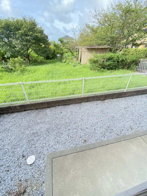 庭